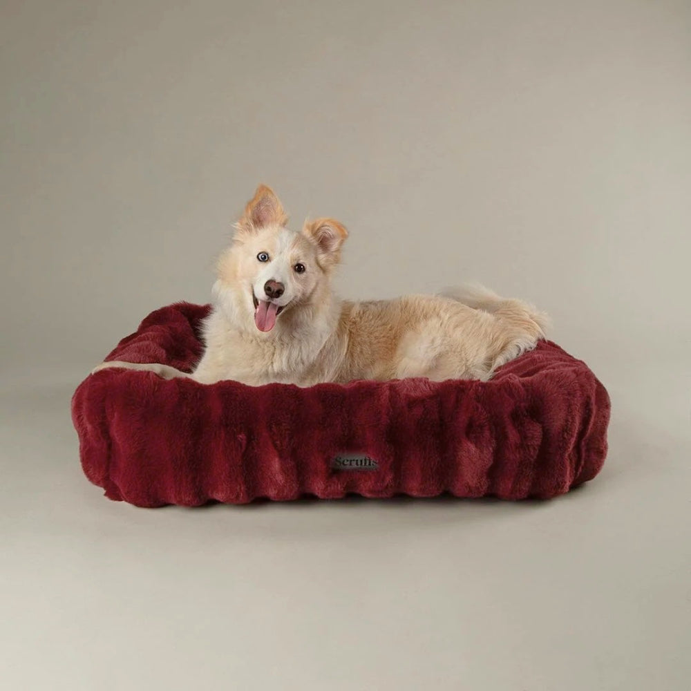 Festive Fur Box Dog Bed - Burgundy