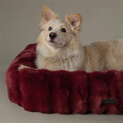 Festive Fur Box Dog Bed - Burgundy