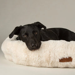 Festive Fur Box Dog Bed - Cream