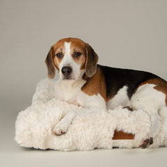 Festive Fur Mattress Dog Bed - Cream
