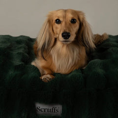 Festive Fur Mattress Dog Bed - Green