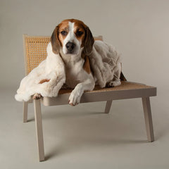 Festive Fur Pet Blanket - Cream