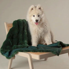 Festive Fur Pet Blanket - Green | Scruffs