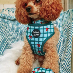 Festive Plaid Christmas Dog Harness