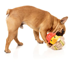 Firequacker Dog Toy by FuzzYard