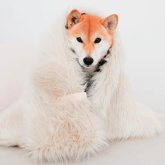 Fora White Faux Fur Dog Blanket by Labbvenn