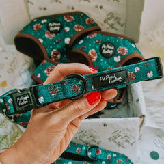 Forest Fir Cone Dog Collar