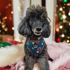 Forest Fir Cone Dog Harness