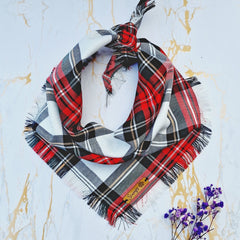 Frayed Alfie's Plaid Dog Bandana by Scamps