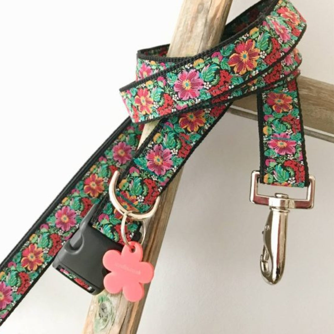 Frida K Dog Collar And Lead Set