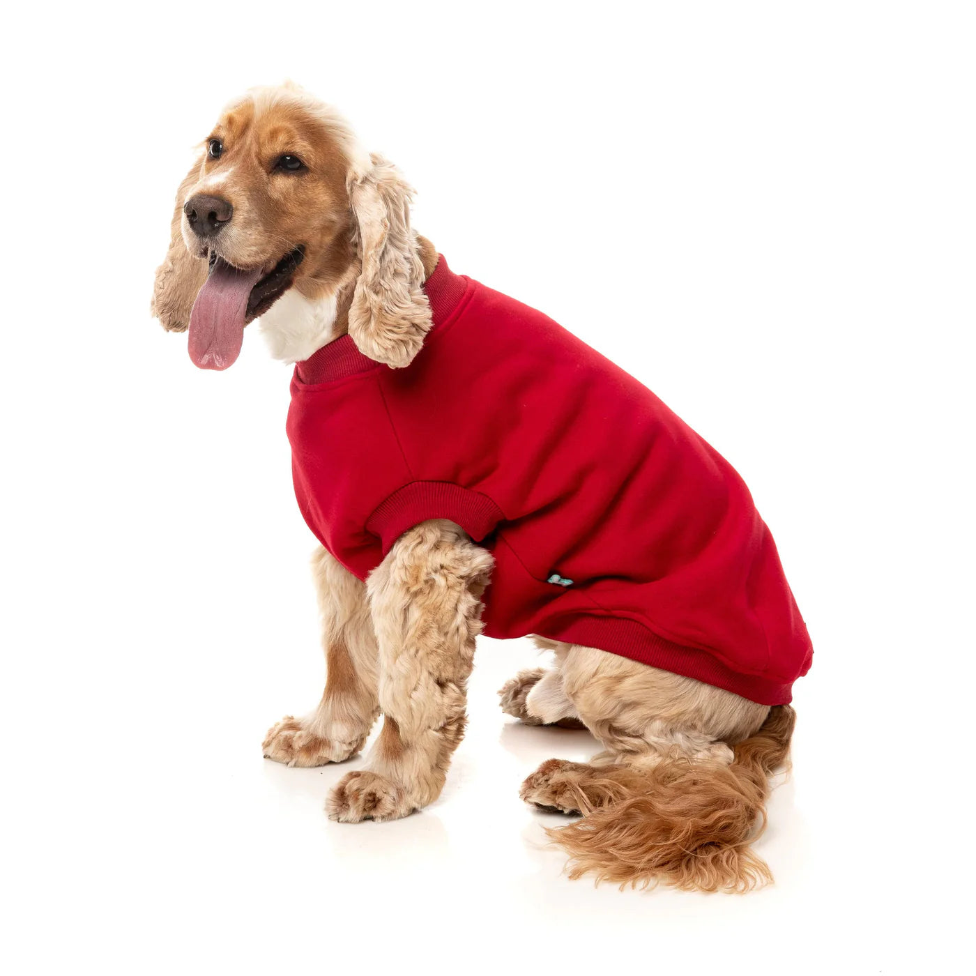FuzzYard Allday Dog Sweater - Red