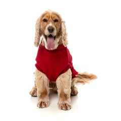 FuzzYard Allday Dog Sweater - Red