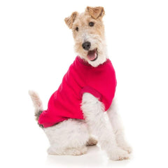 FuzzYard Allday 24 Sweater - Magenta