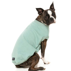 FuzzYard Allday Dog Sweater - Mint