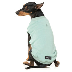 FuzzYard Allday Dog Sweater - Mint