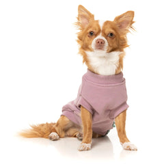 FuzzYard Allday Dog Sweater - Purple