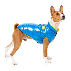 FuzzYard Amor Puffer Dog Jacket - Cobalt Blue