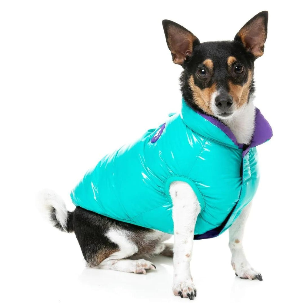 FuzzYard Amor Puffer Dog Jacket - Turquoise
