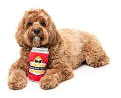 FuzzYard Dog Beer Dog Toy