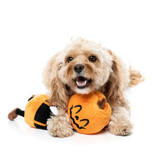 FuzzYard Michael Gourdan Halloween Dog Toy