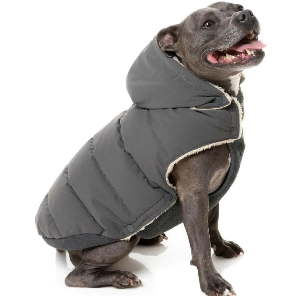 FuzzYard Essential Puffer Dog Jacket - Charcoal