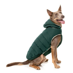 FuzzYard Essential Puffer Dog Jacket - Forest Green