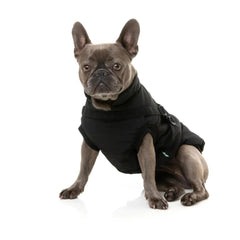 FuzzYard Flash Dog Harness Jacket - Black