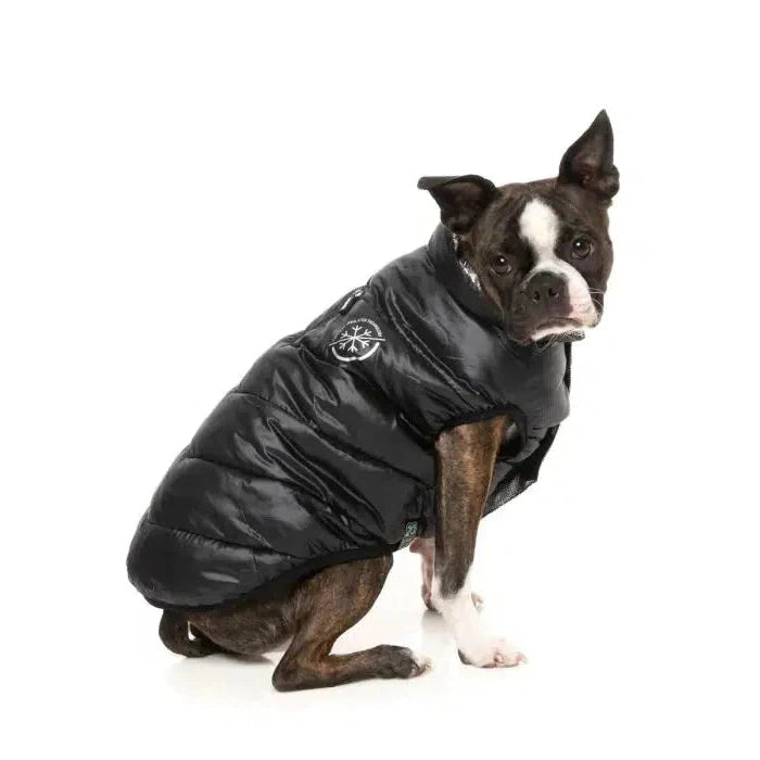 FuzzYard Hakuba Dog Jacket - Black