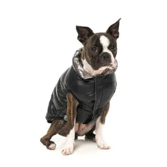 FuzzYard Hakuba Dog Jacket - Black