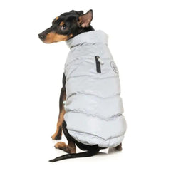 FuzzYard Hakuba Dog Jacket - Reflective
