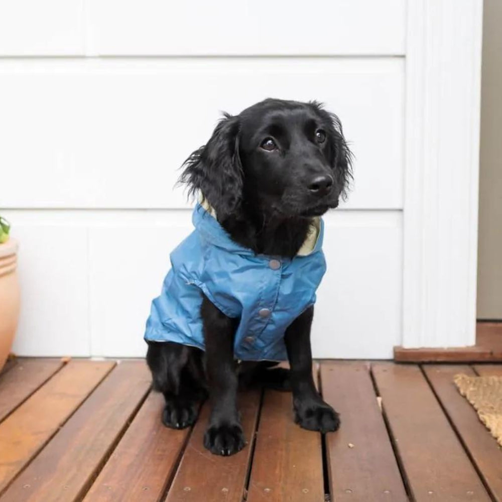 FuzzYard Life Raincoat - French Blue