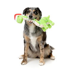FuzzYard Lit-a-Saurus Christmas Dog Toy