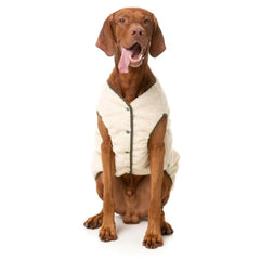 FuzzYard Nara Dog Reversible Jacket - Dark Moss Green