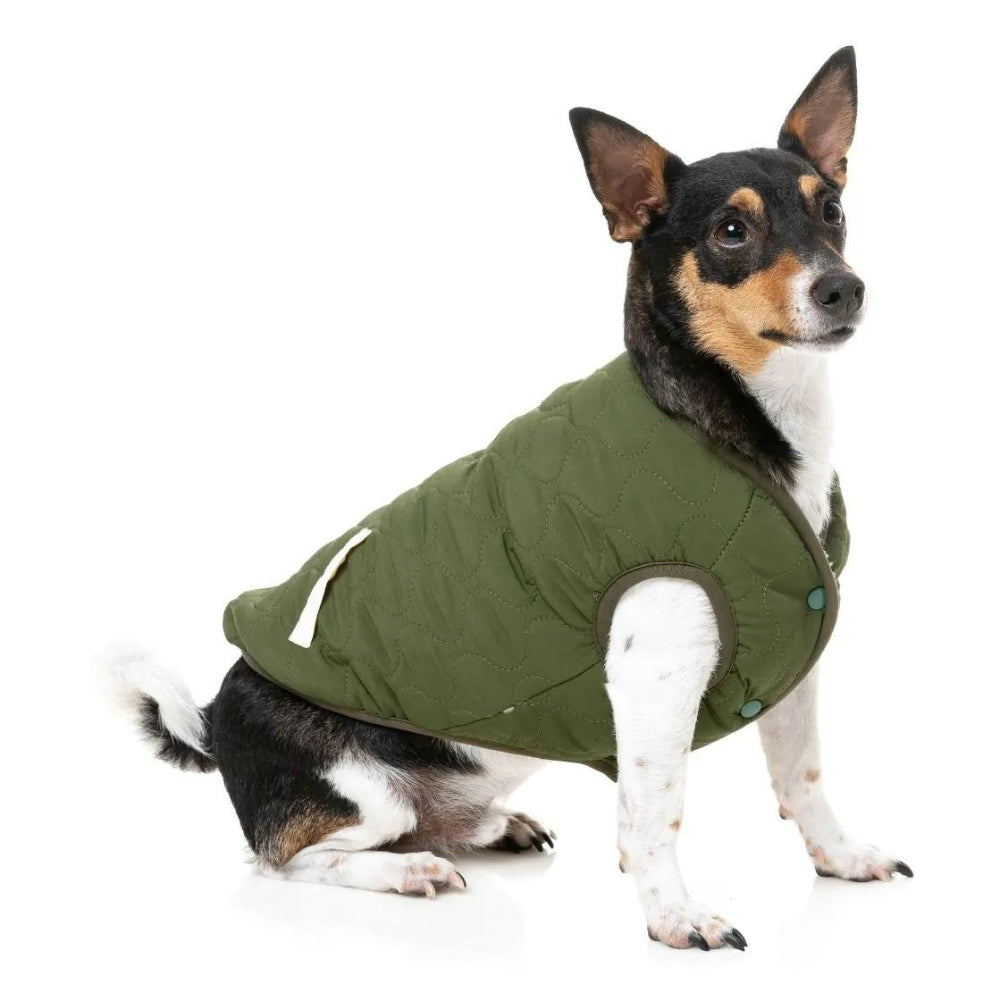 FuzzYard Nara Dog Reversible Jacket - Dark Moss Green