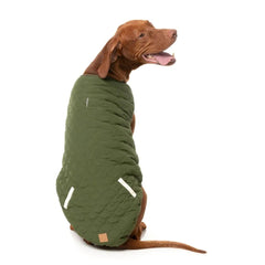 FuzzYard Nara Dog Reversible Jacket - Dark Moss Green