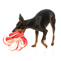 FuzzYard Takoyaki Octo-Posse Dog Toy