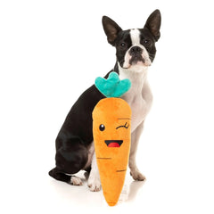 FuzzYard Winky Carrot Dog Toy