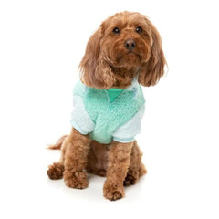 FuzzYard Winnie Dog Hoodie - Teal