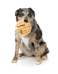 FuzzYard Basketball Dog Toy