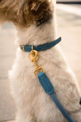 FuzzYard Life Atelier Dog Collar - French Blue
