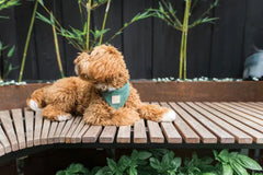 FuzzYard Life Corduroy Harness - Myrtle Green