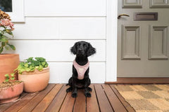 FuzzYard Life Corduroy Step-In Dog Harness In Soft Blush