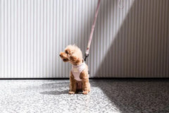 FuzzYard Life Cotton Harness - Soft Blush