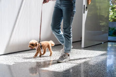 FuzzYard Life Cotton Harness - Soft Blush