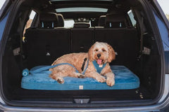 FuzzYard Life Lounge Mat – French Blue