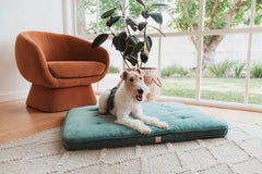 FuzzYard Life Lounge Mat – Myrtle Green