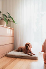 FuzzYard Life Lounge Mat – Sandstone