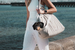 FuzzYard Life Multi-Purpose Dog Carrier & Car Seat – Sandstone