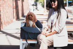 FuzzYard Life Multi-Purpose Dog Carrier & Car Seat – Slate Grey