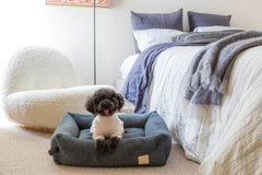 FuzzYard Life Soft Touch Pyjamas - Sandstone